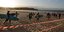 Σέρφερ εκμεταλλεύονται την άρση του lockdown σε παραλία του Σίδνεϊ