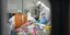 Ανάλυση δειγμάτων ασθενών του νέου κορωνοϊού σε εργαστήριο της Ουχάν 