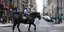 Αστυνομικός πάνω σε άλογο στην Φιλαδέλφεια