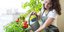 Τα λαχανικά που μπορείτε να φυτέψετε στο μπαλκόνι σας 
