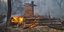 Φωτιά σε δάσος στο Τσέρνομπιλ