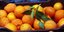 «Πουλάνε» στο εξωτερικό τα ελληνικά πορτοκάλια