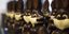 Σοκολατένια λαγουδάκια με μάσκες για τον κορωνοϊό στο Βέλγιο