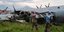 Στρατιώτες σε συντρίμμια αεροσκάφους στο Κονγκό