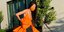 Η Vera Wang με πορτοκαλί φόρεμα και μαύρο σορτς