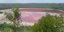 Η λίμνη Λόναρ στην Ινδία έγινε ξαφνικά ροζ 