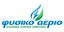 Φυσικό Αέριο Ελληνική Εταιρεία Ενέργειας