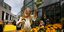 Κορίτσι επιλέγει ηλιοτρόπια σε αγορά της Ολλανδίας