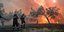 Πυροσβέστες σβήνουν την φωτιά στο δάσος στις Κεχριές