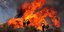 1.360 πυροσβέστες προσπαθούν να θέσουν υπό έλεγχο την πυρκαγιά στην Καλιφόρνια