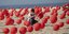 Ανδρας στη Βραζιλία τοποθετεί μπαλόνια στην άμμο