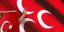 Χέρι κάνει το σήμα των Γκρίζων Λύκων ανάμεσα σε τουρκικές σημαίες