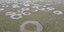 Οι κύκλοι στον πυθμένα της λίμνης Κερκίνης