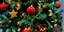 Φωτογραφία: Unsplash/yannis-cotsonis