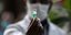 Νοσοκόμος κρατά ένα φυαλίδιο του εμβολίου ενάντια στον κορωνοϊό