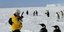 Με τους Αυτοκρατορικούς Πιγκουίνους  στην παγωμένη Θάλασσα Weddell στην Ανταρκτική