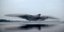 Σμήνος από ψαρόνια σχηματίζει ένα τεράστιο πουλί στον ουρανό πάνω από λίμνη στην Ιρλανδία