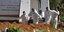 Ανδρες μεταφέρουν φέρετρο σε νεκροταφείο στην Βραζιλία