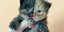 Η Άπρικοτ, ένα γατάκι με δίχρωμο πρόσωπο