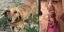 σκελετωμένο σκυλί έγινε καλά στην Κοζάνη