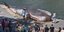 Γλυπτό που αποτυπώνει μια νεκρή φάλαινα στις όχθες του Σηκουάνα 