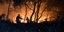 Μαίνεται ανεξέλεγκτη η πυρκαγιά στο Σχίνο Κορινθίας