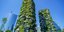Οι δύο πύργοι με τα δέντρα ή αλλιώς το κάθετο δάσος στο Μιλάνο