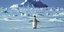 Πιγκουίνος στην Ανταρκτική