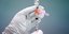 εμβόλιο Johnson & Johnson σε χέρια νοσηλευτή με λευκά γάντια