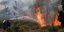 Πυροσβέστες επιχειρούν να σβήσουν τη φωτιά στο δάσος του Σέιχ Σου