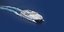 Το Champion Jet 2 της SEAJETS