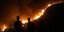 Πυρκαγιά πολιορκεί θερμοηλεκτρικό σταθμό στη Μίλας της Τουρκίας
