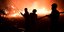 Ολονύχτια μάχη με τις φλόγες στη Βαρυμπόμπη 