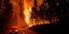 πυρκαγιά Ντίξι καίει δάσος Καλιφόρνια πυροσβεστικό