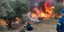 Φωτιά στην Ηλεία, πυροσβέστες