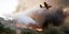 πυροσβεστικό αεροσκάφος επιχειρεί πάνω από φωτιά