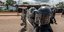 Δυνάμεις της αστυνομίας στους δρόμους στη Γουινέα