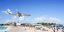 Η παραλία Maho είναι το μέρος για να παρατηρήσετε τα αεροσκάφη προσγείωσης