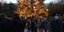 μετάλλαξη Όμικρον, χριστουγεννιάτικο δέντρο στο Σύνταγμα