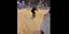 snowboard