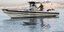 Λιμενικό σκάφος προσέγγισε τη φάλαινα στην παραλία του Αλίμου 