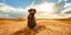καμήλα στην έρημο