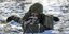 Ρώσος στρατιώτης που επιχειρεί στην Ουκρανία