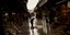 anthropos