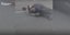 Άνδρας στη μέση του δρόμου χτυπημένος από πυρά Ρώσων έξω από το Κίεβο