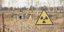 Ένδειξη ραδιενέργειας στο Κόκκινο Δάσος του Τσερνόμπιλ