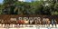 Survivor 2022