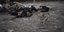 Ουκρανία: Εικόνες φρίκης με τους νεκρούς αμάχους στη Μπούκα