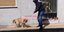 Ο σκύλος του Μάνου Δασκαλάκη και της Ρούλας Πισπιρίγκου βρίσκεται σε κακή κατάσταση