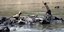 Παιδί και βουβάλια δροσίζονται στον ποταμό Ντιγιάλα στη Βαγδάτης